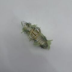 Yeşil Çiçek Detaylı Transparan Mandal Toka