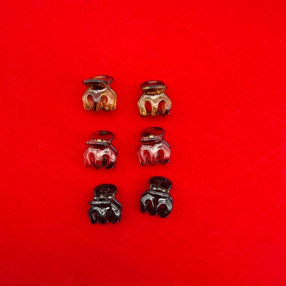 6’lı Mini Pençe Mandal Toka Seti