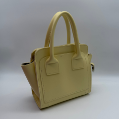 Clean Frame Mini El & Omuz Çantası