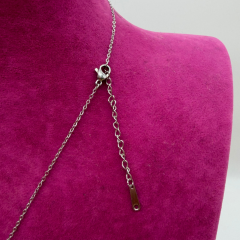 İki Renkli Kutup Yıldızı Çelik Kolye - Altın ve Gümüş Renk